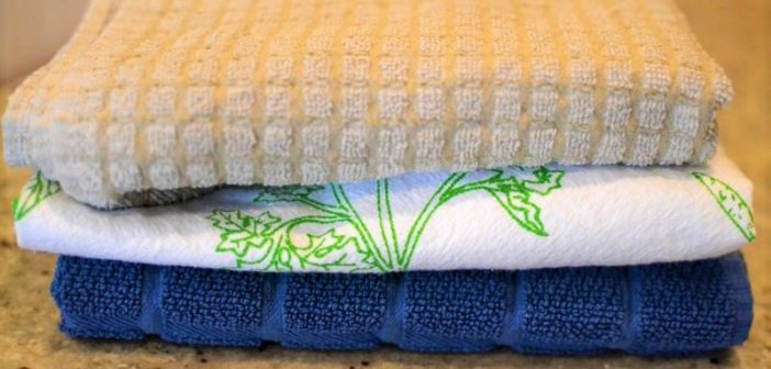 Breaking the Paper Towel Habit